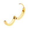 Earrings With Design 2mm Thick & Clear Zirkonia -24Kt Gold PVD Titanium - Image 4