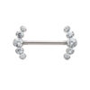 Nipple Jewelry With Zirconia 5-Cluster Ends -Titanium