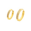 Earrings With Design 2mm Thick & Clear Zirkonia -24Kt Gold PVD Titanium - Image 3
