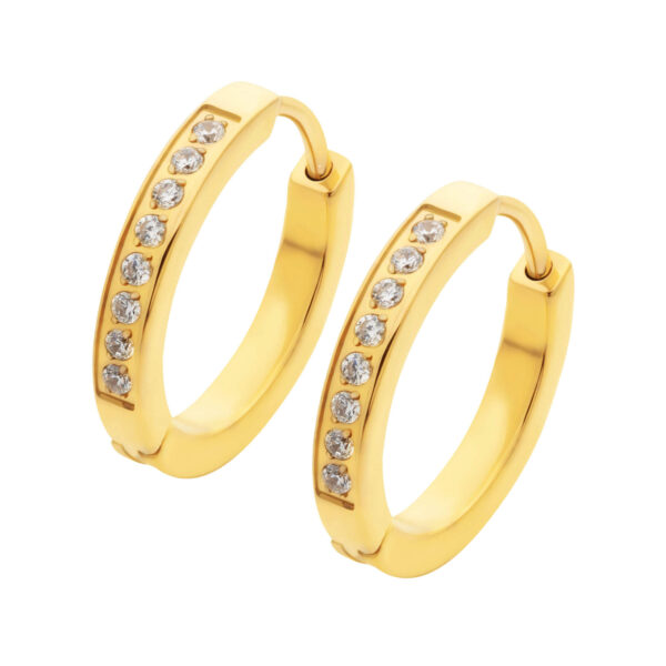 Earrings With Design 2mm Thick & Clear Zirkonia -24Kt Gold PVD Titanium