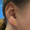 Hammered Disk Top -24Kt Gold PVD Titanium - Image 2