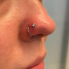 Hinged Segment Clicker -Titanium - Image 5