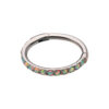 Earring With CNC Set White Opals -Titanium - Image 4