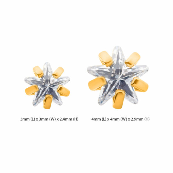 Prong Set Star Shape Zirconia Top -24Kt Gold PVD Titanium - Image 4