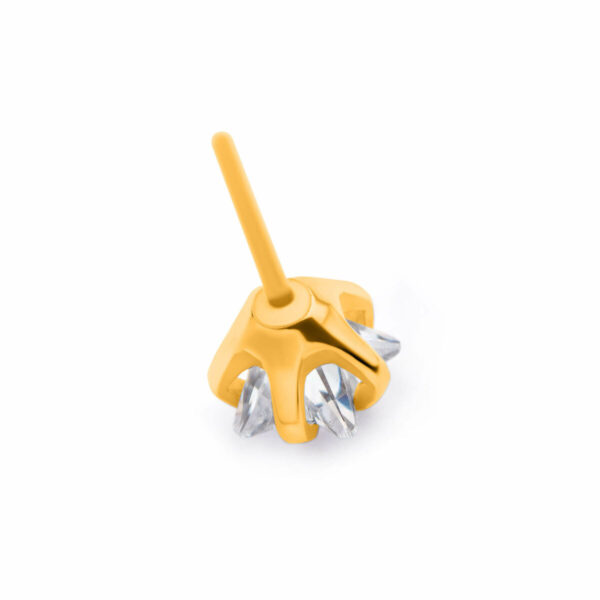 Prong Set Star Shape Zirconia Top -24Kt Gold PVD Titanium - Image 5