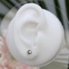 Neometal Clear Bezel Set Top