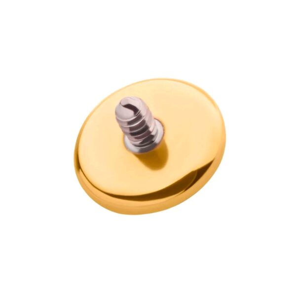 Tasapintainen sisäkierteinen korukärki -24k PVD titaani - Image 3