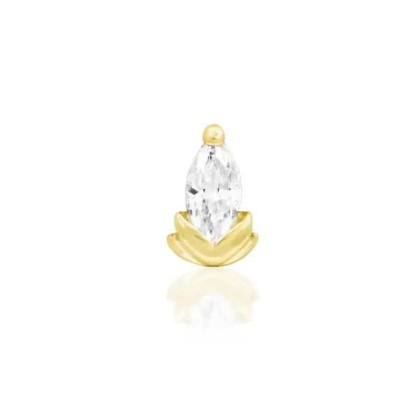 Junipurr Uma Gold Top